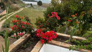 Fotografie z fotogalerie ubytování Villa Blanca Constanza v destinaci Constanza