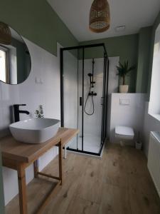 a bathroom with a large white sink and a shower at RIVER HOUSE in Bardo
