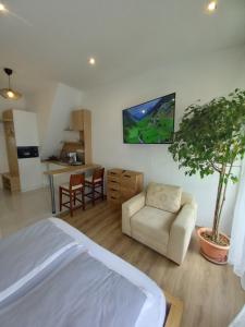 Kuchyň nebo kuchyňský kout v ubytování Korvin Plus Apartman
