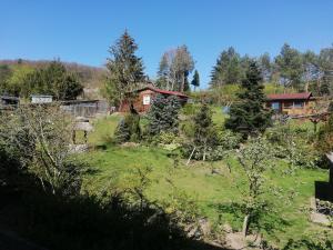 a view of a yard with a house and trees at U Kiki in Wisełka