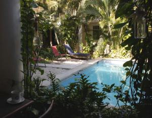 a swimming pool in a yard with two chairs next to it at Hotel Santa Ana in Mérida