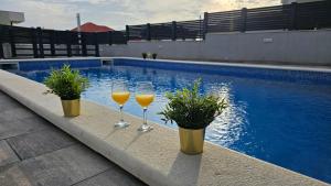 dos copas de vino sentadas junto a una piscina en Apartments Pool Villa Aldura, en Novalja