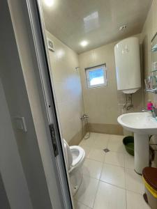 La petite salle de bains est pourvue de toilettes et d'un lavabo. dans l'établissement tamila's guesthause, à Mestia