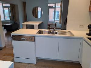 een keuken met een wastafel en een aanrecht bij bel etage woning in Gent