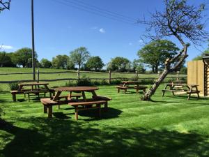 um grupo de mesas de piquenique num campo em The Windmill Inn em Horsham