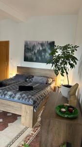 ein Schlafzimmer mit einem Bett und einer Topfpflanze auf einem Tisch in der Unterkunft Apartmán Smrk in Vrbno pod Pradědem