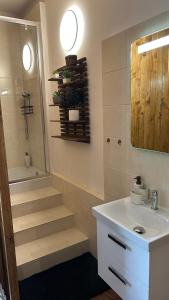 La salle de bains est pourvue d'un lavabo, de toilettes et d'une douche. dans l'établissement Apartmán Smrk, à Vrbno pod Pradědem