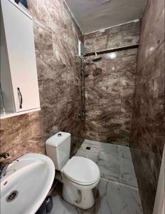 uma casa de banho com um WC, um lavatório e um chuveiro em LÎLAV Home Taksim 1 em Istambul