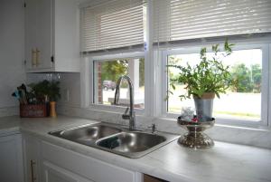 a kitchen sink with a potted plant next to two windows at Greensboro Downtown House in Greensboro