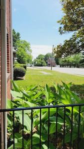 d'un balcon avec une clôture et une pelouse. dans l'établissement Greensboro Downtown House, à Greensboro
