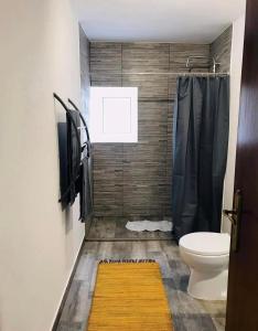 a bathroom with a toilet and a shower with a window at Casa 1-Quinta dos Penedos in Portalegre