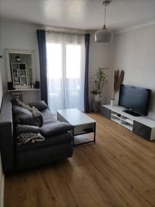 ein Wohnzimmer mit einem Sofa und einem TV in der Unterkunft 3 Pièces proche mer et aéroport in Nizza