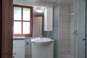ein Badezimmer mit einem Waschbecken, einem Fenster und einem Spiegel in der Unterkunft Zidan'ca Rošel in Dolenjske Toplice