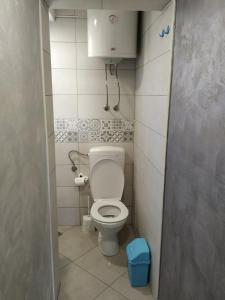 ein kleines Bad mit WC in einer Kabine in der Unterkunft Studio Kaća in Cetinje