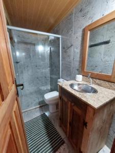 a bathroom with a shower and a sink and a toilet at Astral de Minas in Tiradentes