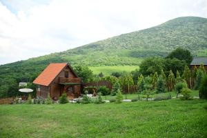 una cabaña de madera en un campo con una montaña en el fondo en Milošev Konak, en Malo Središte