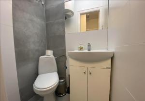 Kúpeľňa v ubytovaní P&J Apartamenty Św. Krzyża