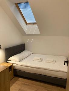 Bett in einem Zimmer mit Deckenfenster in der Unterkunft LILIOWA 15 in Dębki