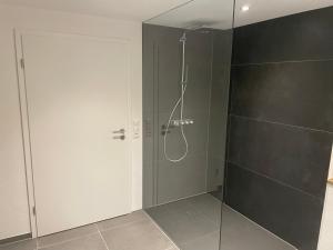a bathroom with a shower with a glass door at Ferienwohnung Bröder in Emmelshausen