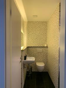 een kleine badkamer met een wastafel en een toilet bij Mosaikhaus in Würselen