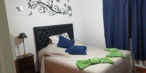 a bedroom with a bed with blue and green pillows at La casa de Lily in Alta Gracia