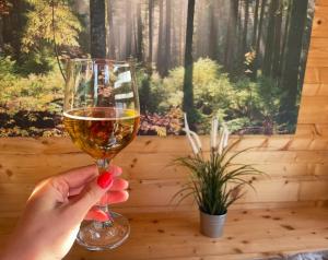 a person holding up a glass of wine at Doles skati, kubls - iekļauts cenā in Salaspils