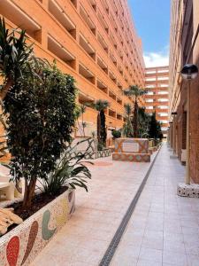 a walkway in a building with trees and plants at Apartamento Torremar M in El Borseral