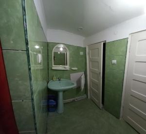 a green bathroom with a sink and a mirror at PERLA CĂLIMANILOR in Vatra Dornei