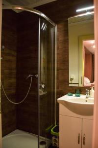 un bagno con doccia e lavandino di Ferien am Bischofsberg - Edlbach 31 a Windischgarsten