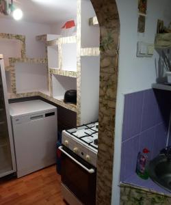 a small kitchen with a stove and a sink at PERLA CĂLIMANILOR in Vatra Dornei