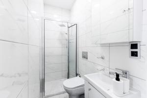 bagno bianco con servizi igienici e doccia di Modern Flat 5 min to Galata Tower in Istiklal Ave a Istanbul
