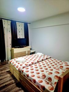 1 dormitorio con 1 cama grande en una habitación en Cozy appartment in the center en Târgovişte