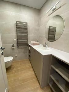 uma casa de banho com um lavatório, um espelho e um WC. em Apartment-Pine Forest Birštonas em Birstonas