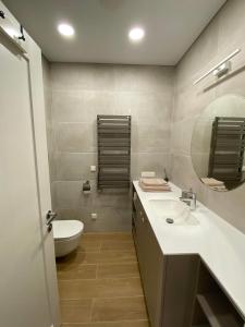 uma casa de banho com um lavatório, um WC e um espelho. em Apartment-Pine Forest Birštonas em Birstonas