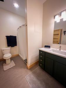 a bathroom with a toilet and a sink and a shower at Goldfinch Suites in Elkader