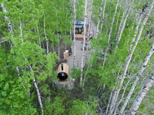 uma vista aérea de uma casa no meio de uma floresta em Refuge Bay's Aqua Tiny Home - Luxury Off Grid Escape 