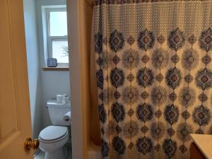 a bathroom with a toilet and a shower curtain at Red Creek Inn and Farm in Paragonah