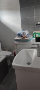 Koupelna v ubytování Apartmán Radim