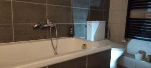 Koupelna v ubytování Apartmán Radim