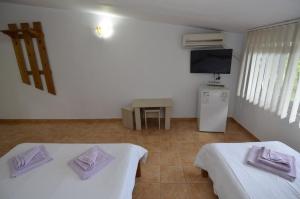 Fotografie z fotogalerie ubytování VILA RARA v destinaci Costineşti