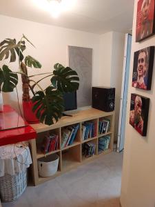 a living room with a television on a book shelf at Dudger apartment 