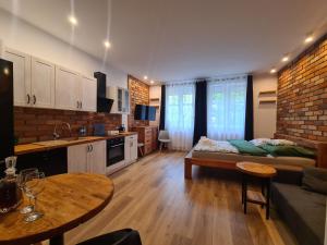 eine Küche und ein Wohnzimmer mit einem Sofa und einem Tisch in der Unterkunft Solanki Loft in Inowrocław