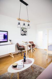 TV a/nebo společenská místnost v ubytování Zagreb Borovje New Free Garage