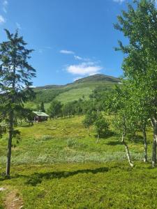 a green field with trees and a house on a hill at Stugby Marieke - Skärvången in Föllinge