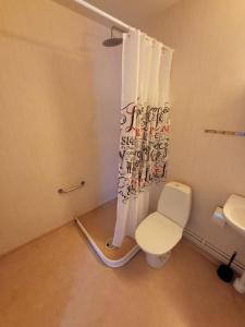 ein Bad mit einem WC und einem Duschvorhang in der Unterkunft Stugby Marieke - Skärvången in Föllinge