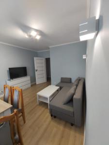 a living room with a couch and a table at Apartament Arkada Centrum in Rzeszów