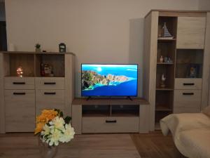 Televisyen dan/atau pusat hiburan di LOZA-holiday home,kuca za odmor