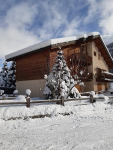 a house covered in snow with a tree in front of it at Dany Lodge Livigno in Livigno