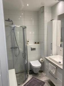 a bathroom with a shower and a toilet and a sink at Rhein Appartements in Rheinhausen
