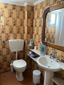 un baño con inodoro y lavabo en Nectarios seaside apartment., en Palaión Tsiflíkion
